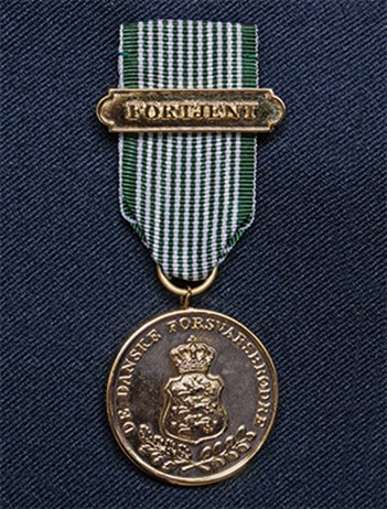 Fortjenst 300Px