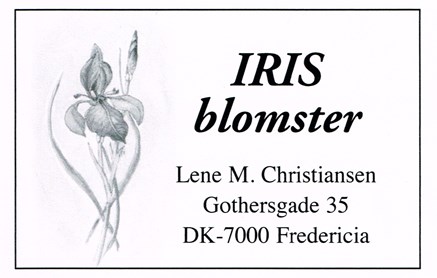 Iris Blomster